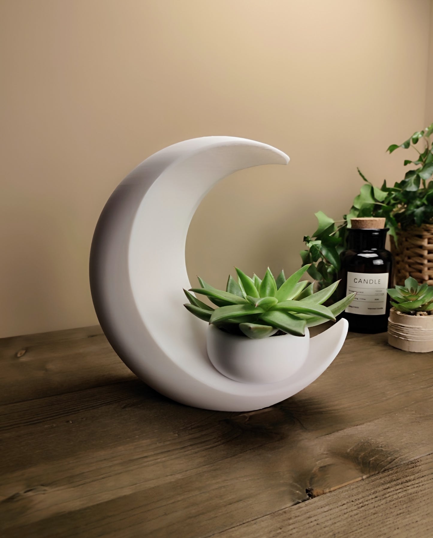 Into the Moon Planter | Crescent Moon Succulent Pot