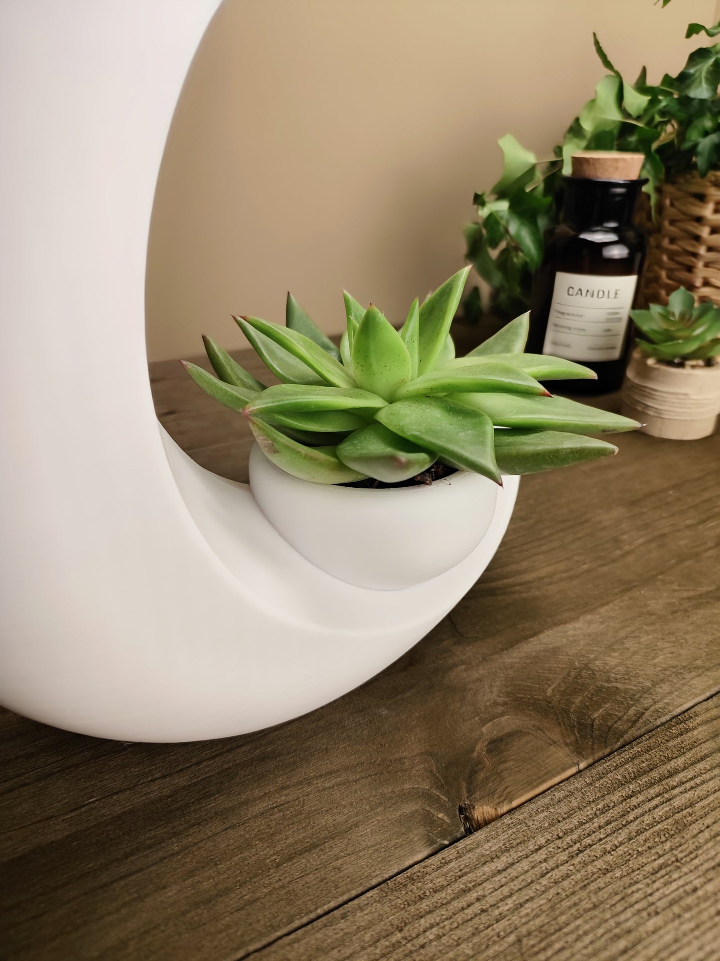 Into the Moon Planter | Crescent Moon Succulent Pot
