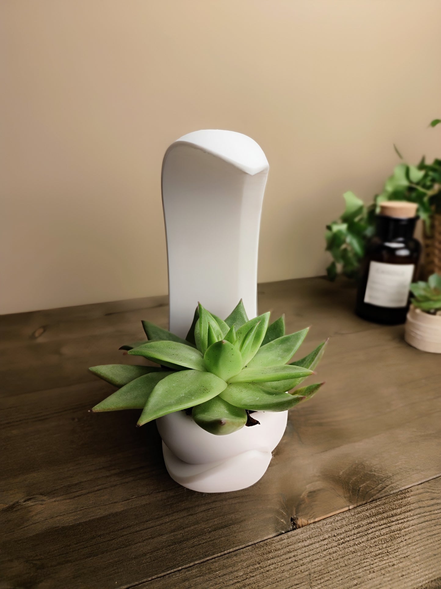 Into the Moon Planter | Crescent Moon Succulent Pot