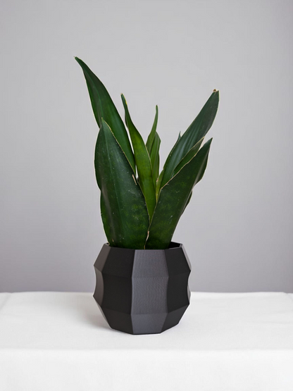 Minimal Geometric Planter | Decagon Flower Pot | Modern Plant Decor | Succulent Pot | 3D Printed Planter