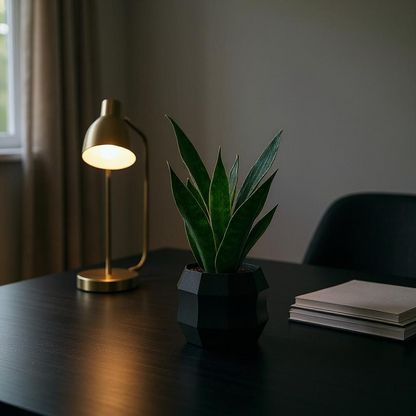 Minimal Geometric Planter | Decagon Flower Pot | Modern Plant Decor | Succulent Pot | 3D Printed Planter