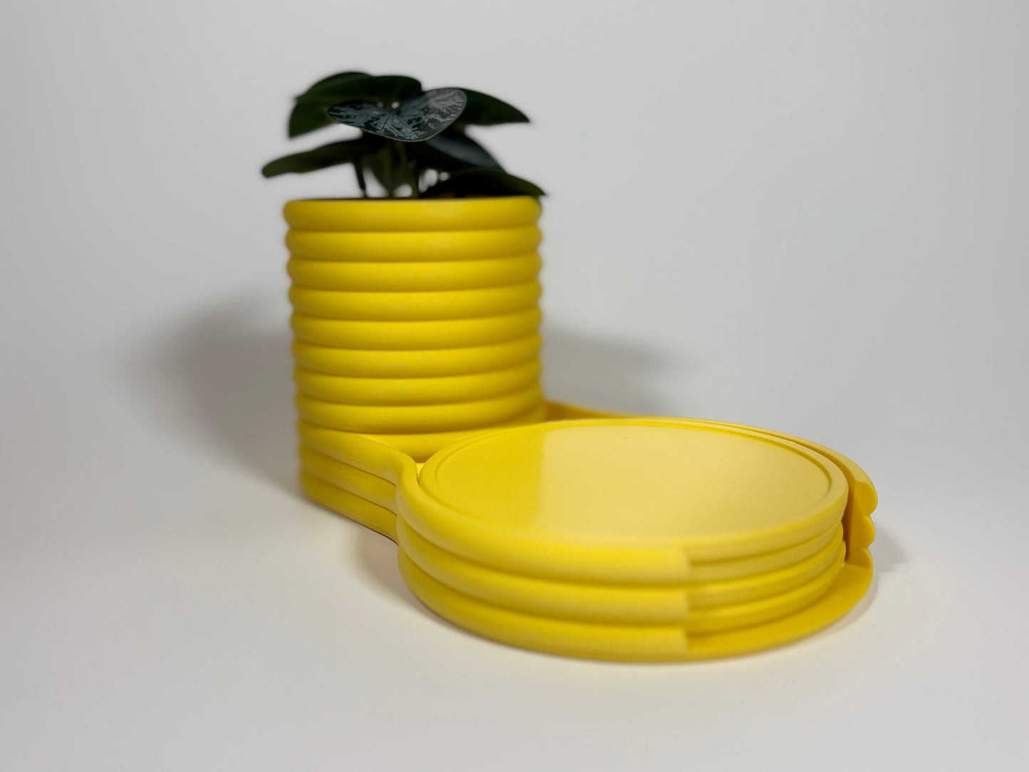 Coaster Planter | Succulent Pot with Hidden Water Tray & 4 Drink Coasters | Modern Desk Planter | Gift for Plant Lovers