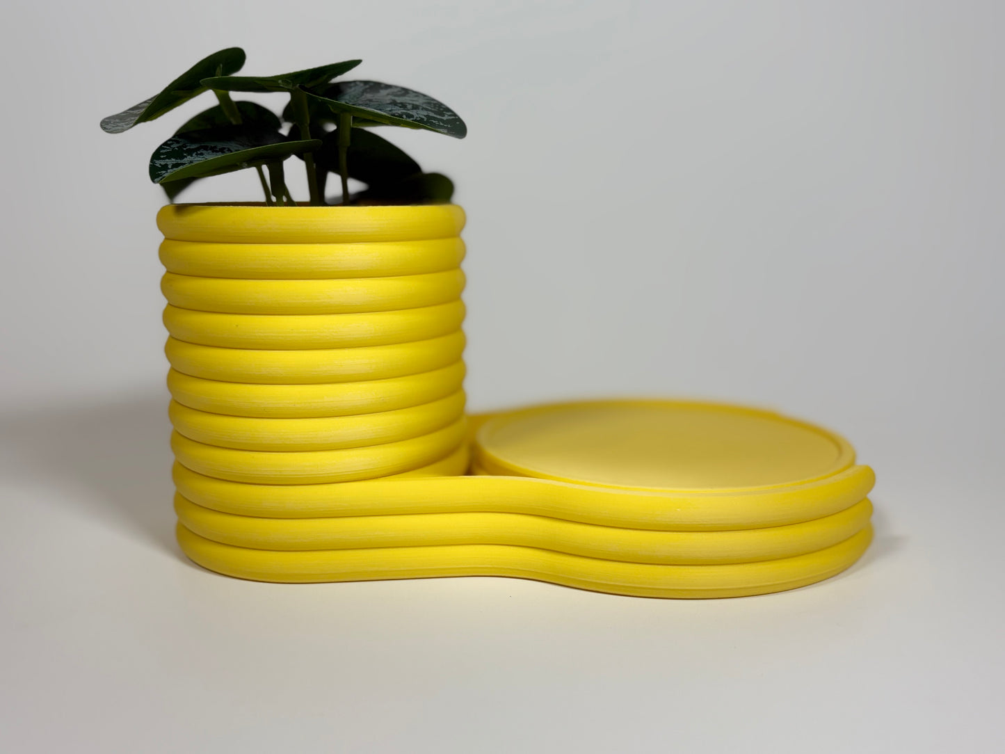 Coaster Planter | Succulent Pot with Hidden Water Tray & 4 Drink Coasters | Modern Desk Planter | Gift for Plant Lovers