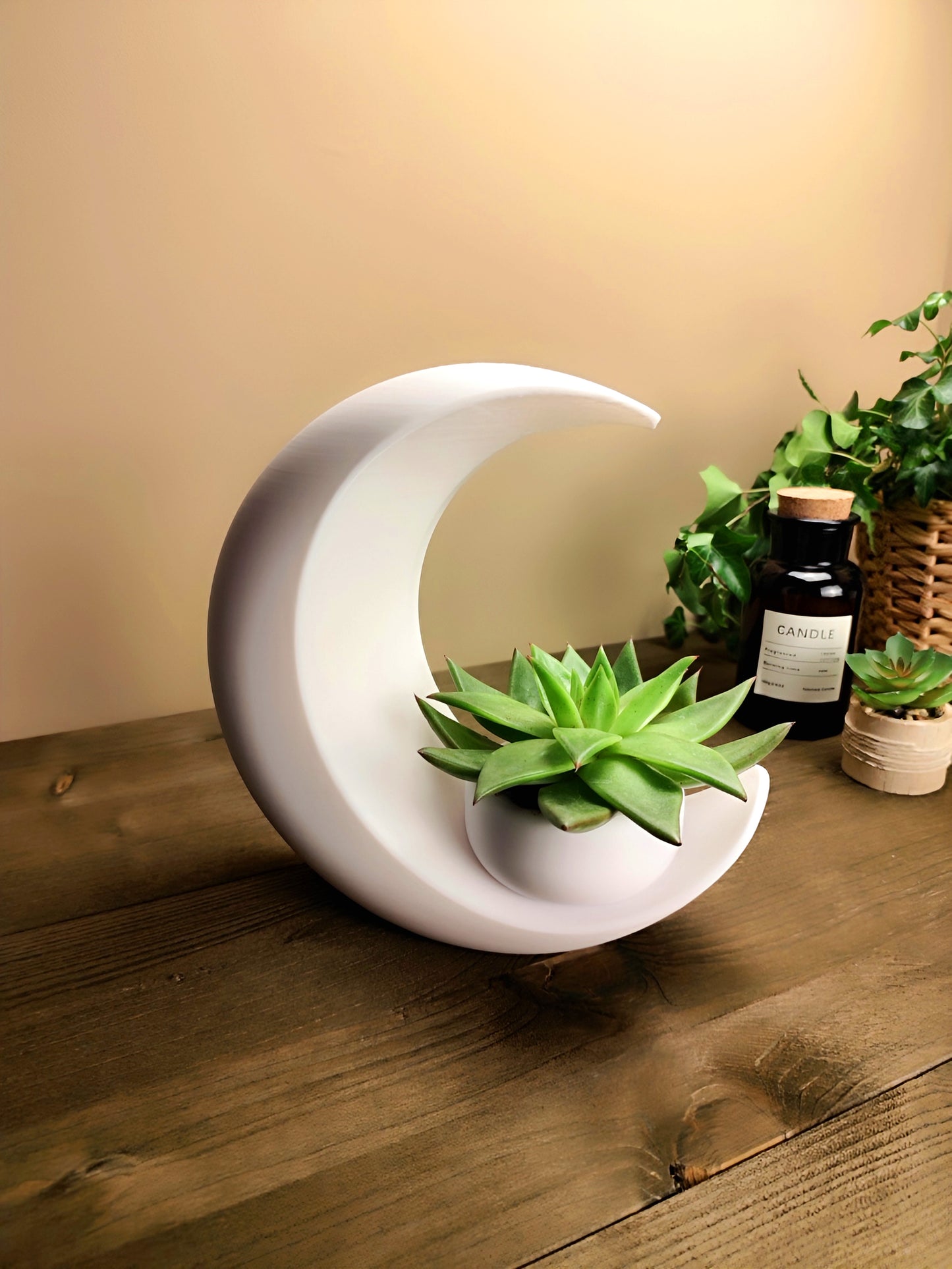 Into the Moon Planter | Crescent Moon Succulent Pot